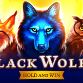 Black Wolf 2