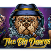 The Big Dawgs