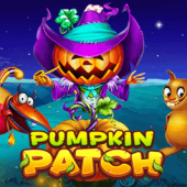 PUMPKIN PATCH