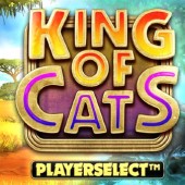 King of Cats Megaways