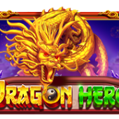 Dragon Hero™