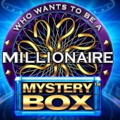 Millionaire Mystery Box