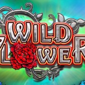 Wild Flower