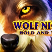 WOLF NIGHT