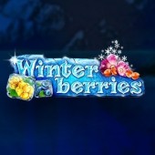 Winterberries